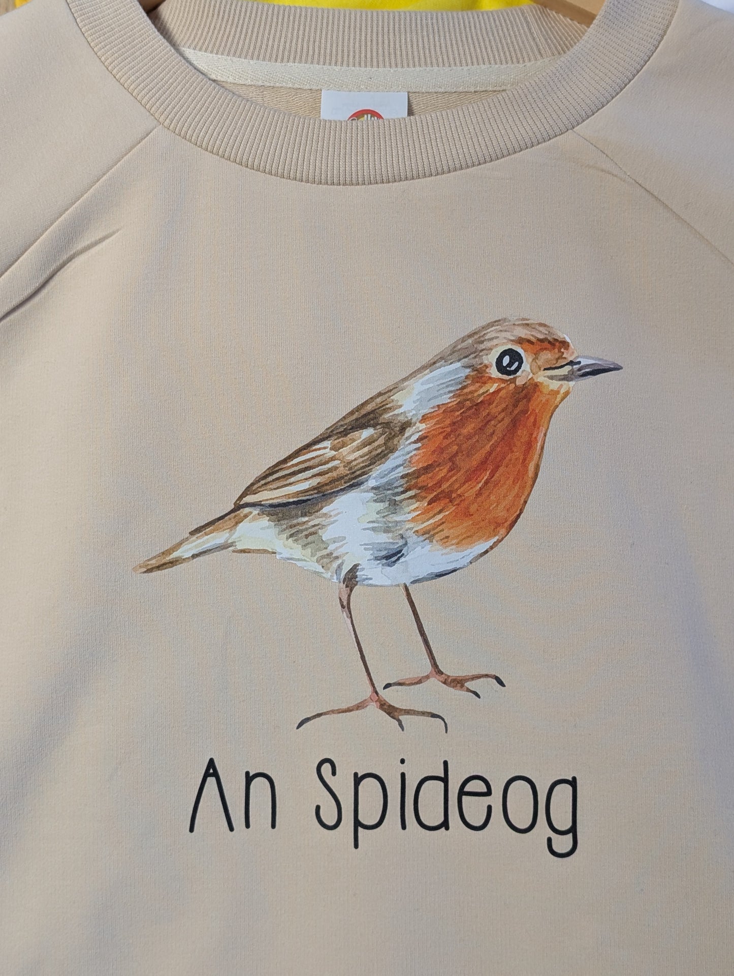 An Spideog sweater (adults)