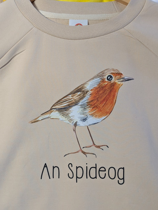An Spideog sweater (adults)