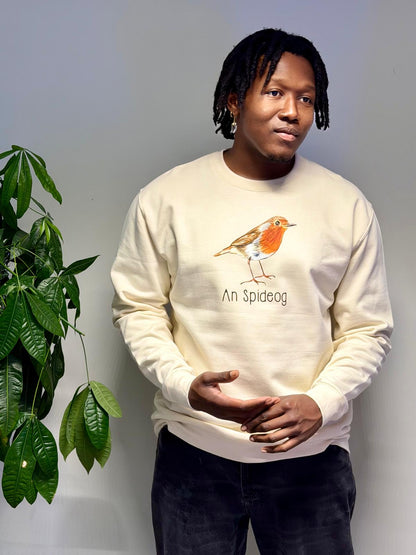 An Spideog sweater (adults)