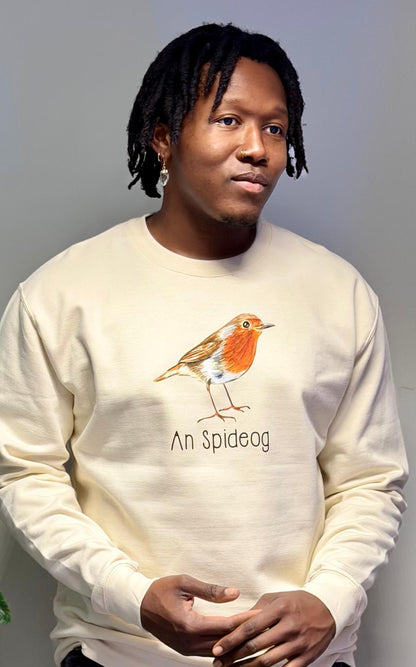 An Spideog sweater (adults)